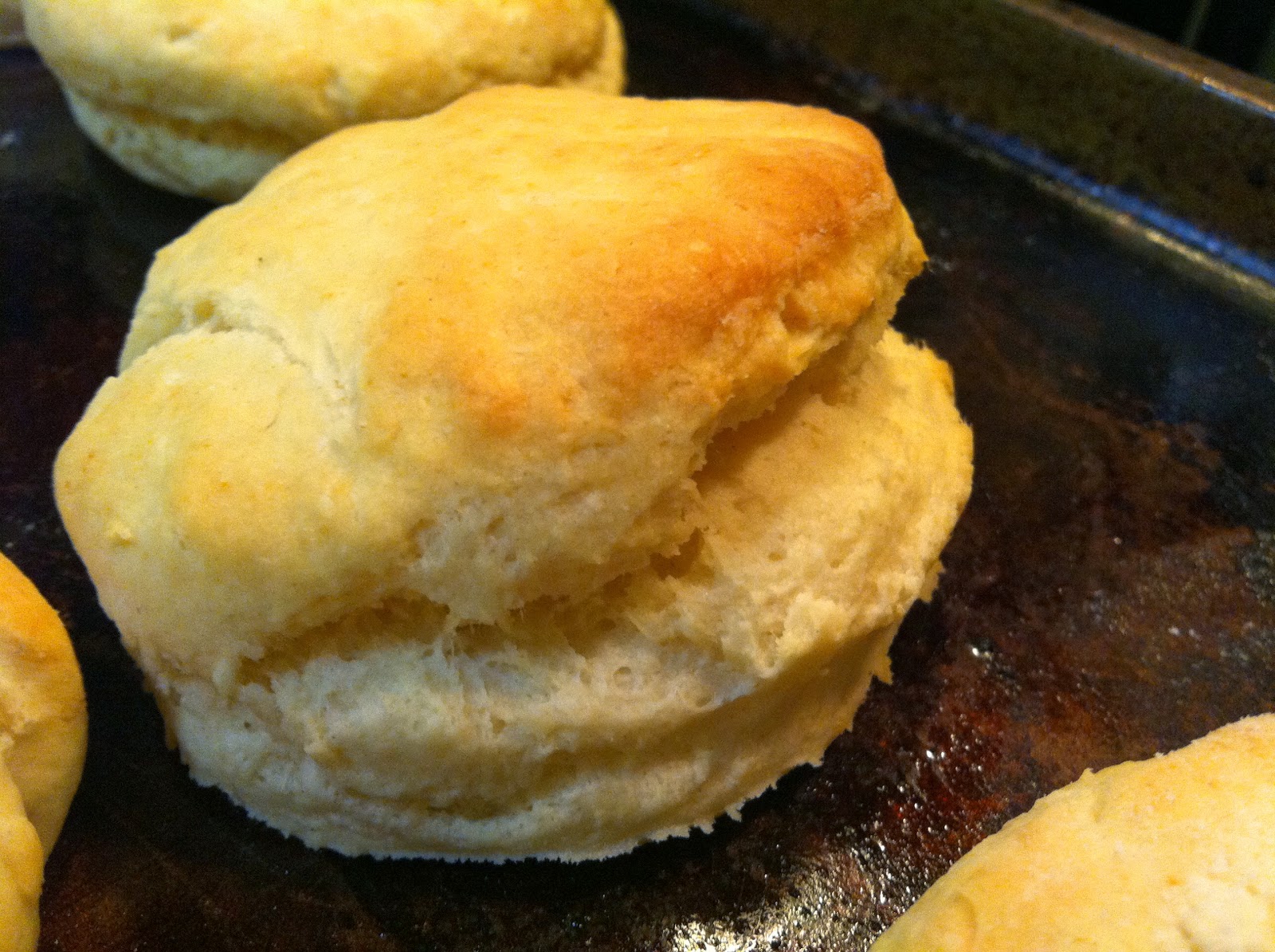 The Perfect Buttermilk Biscuit From Scratch