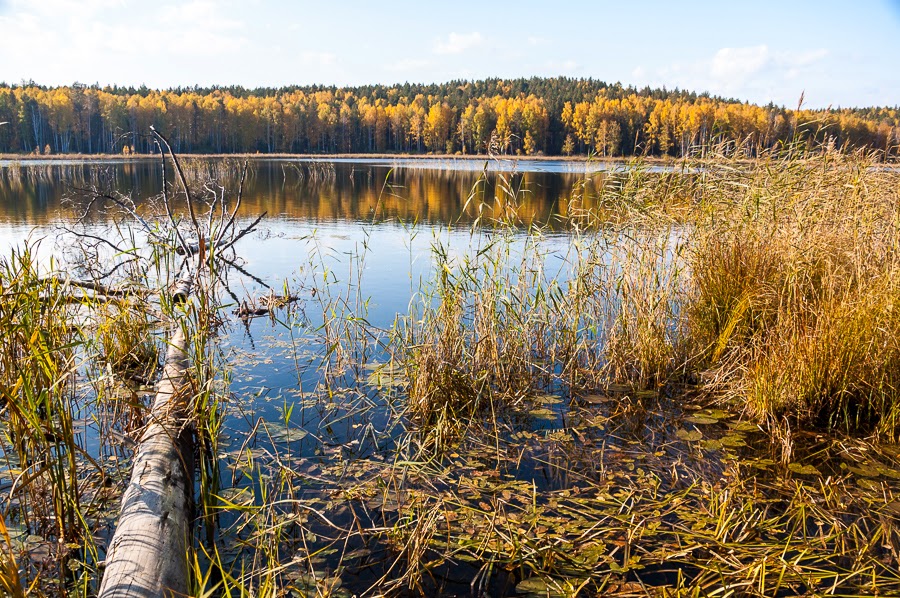 Озеро Безрыбное