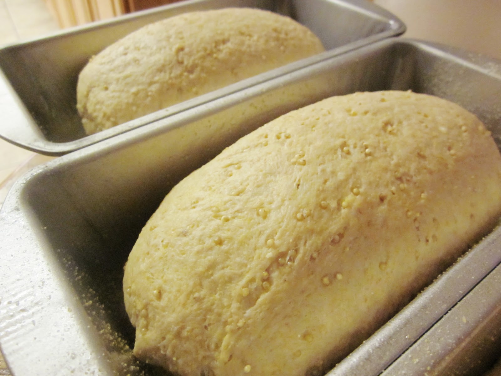 Chef Tess Bakeresse Whole Grain Millet Bread