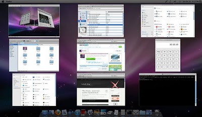 Linux OSX like Ubuntu 10.04 LTS Screenshot%2B%25282%2529