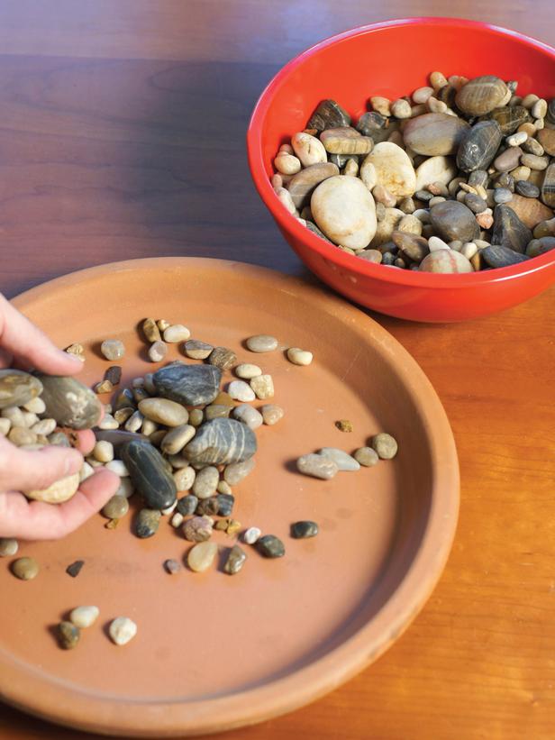 Inside the Brick House: Grow Your Own Kitchen Countertop Herb Garden