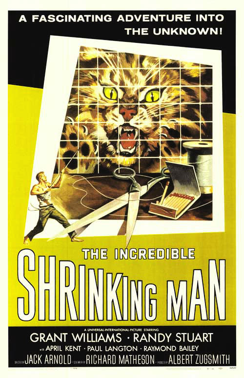 Dead Calm 1989 Torrent Downloads Download Dead Calm