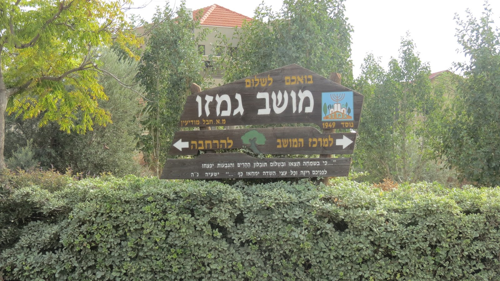 Touring Eretz Yisroel Moshav Gimzo And Shikmah Sycamore Trees C