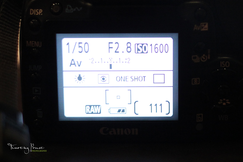 Timothy Prust Photography Photographing Your Christmas Tree Tutorial