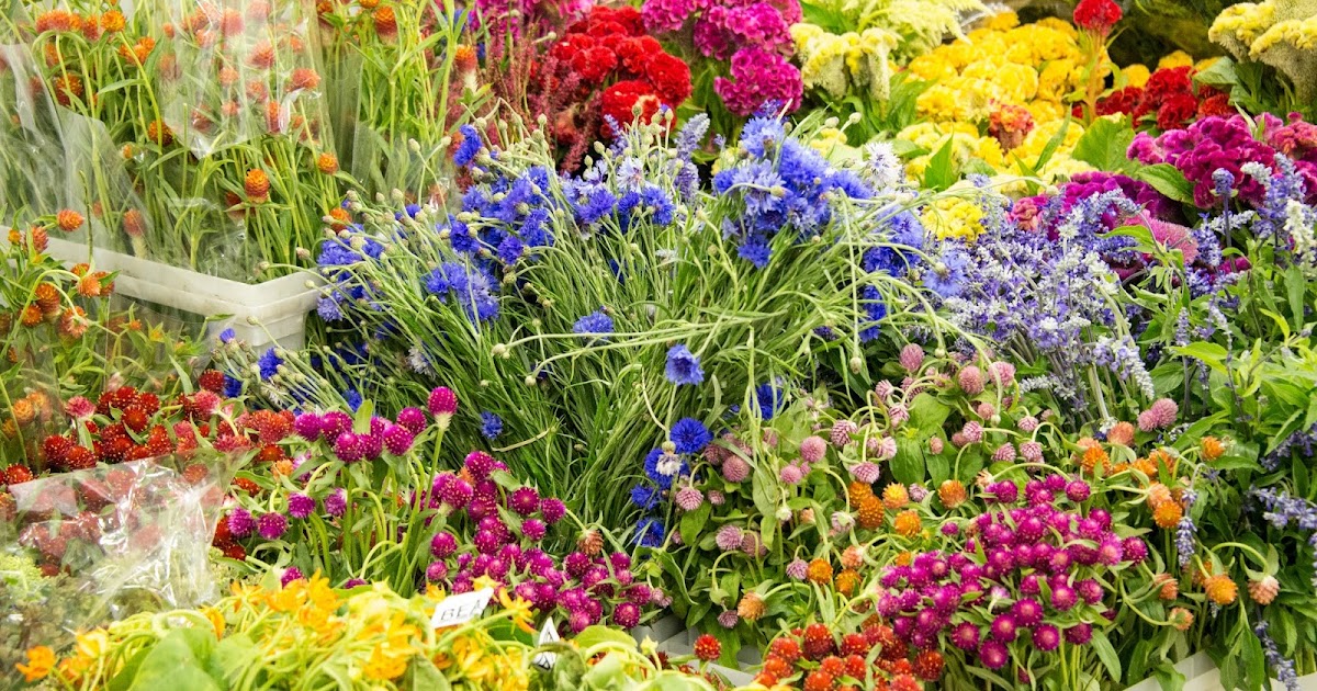 A Day of Flowers From the Wholesaler to a Arrangement