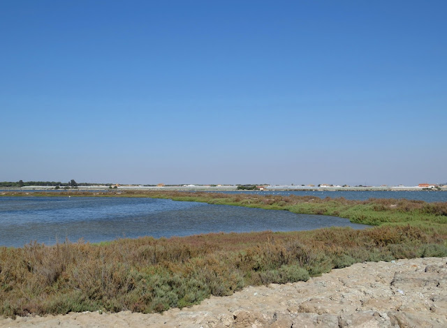 Bonanza Salt Pans - Spain