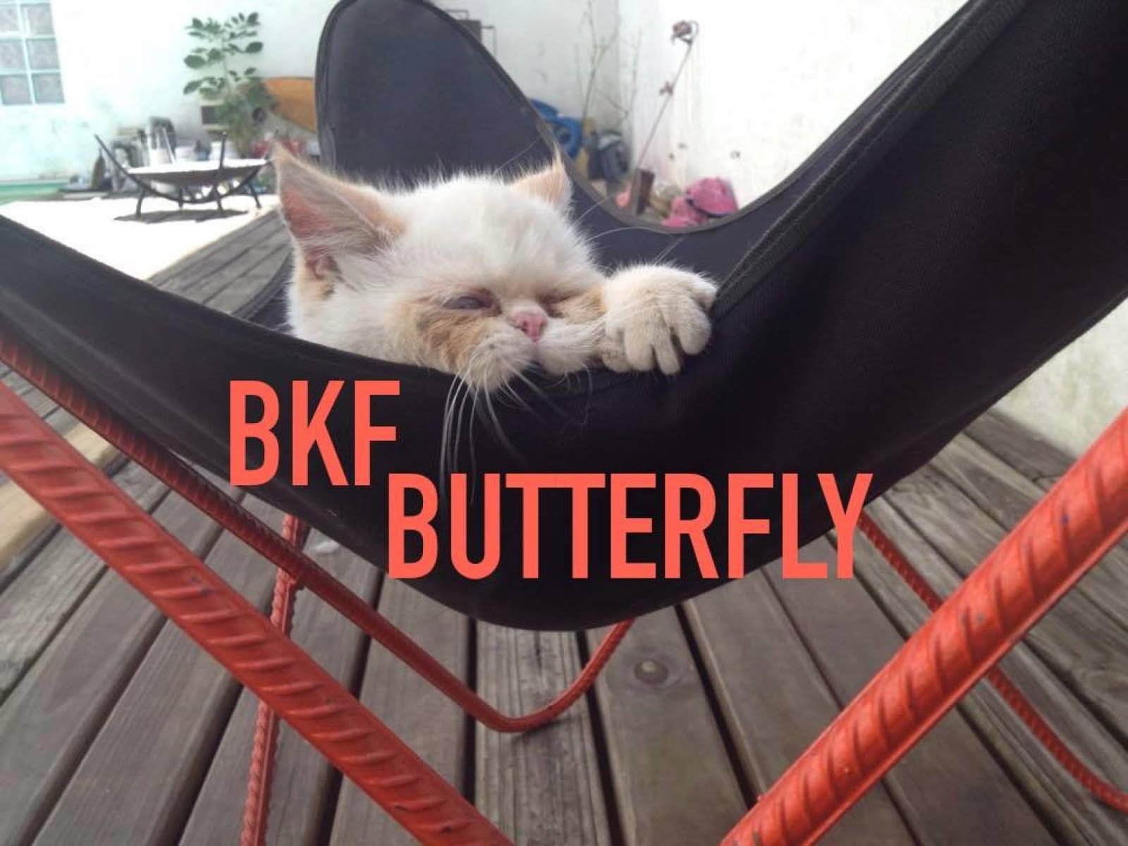 BKF Butterfly