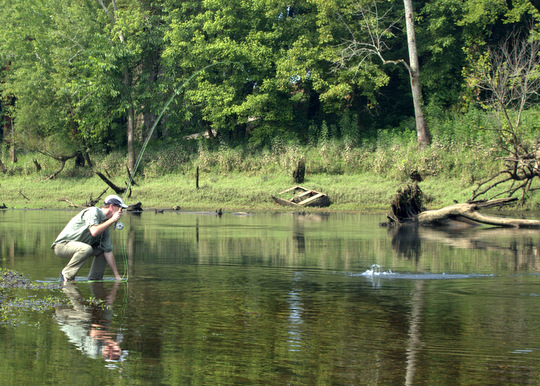 Fly Fishing the Caney Fork River