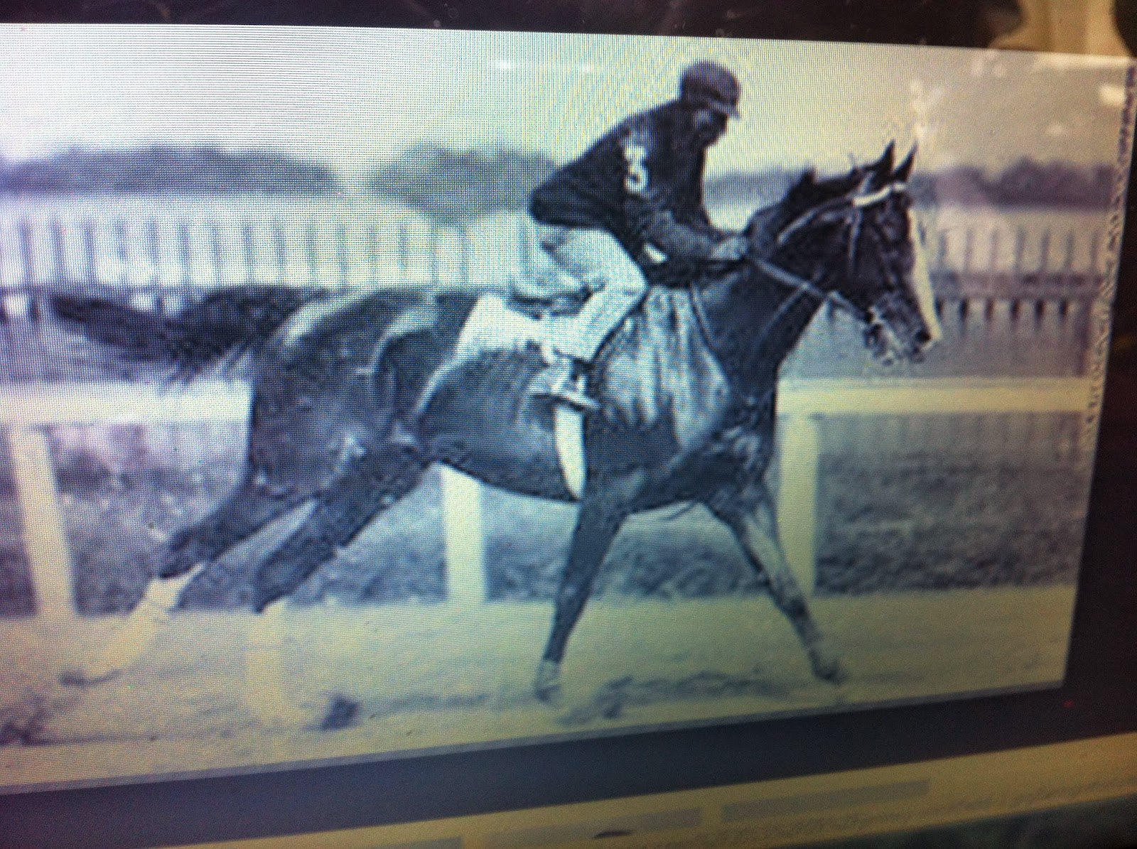 THE BLACK SOCIAL HISTORY BLACK SOCIAL HISTORY AFRICAN AMERICAN