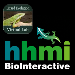 Hhmi Lizard Lab Answer Key