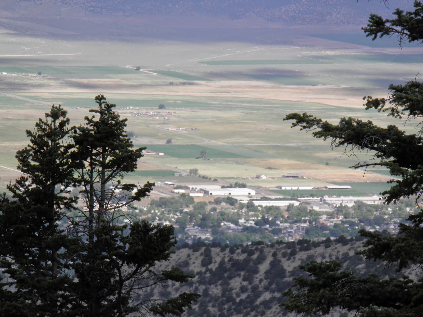 Mill Hill Meadow . Daily Life