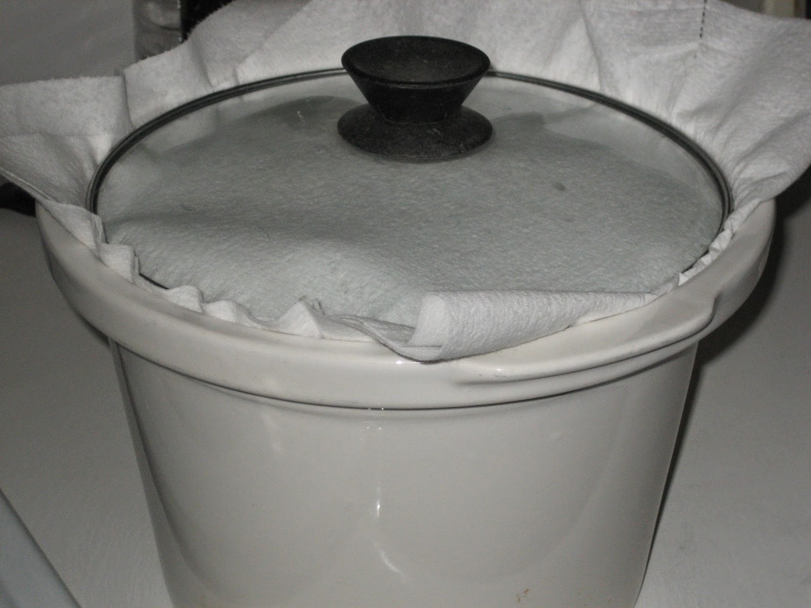 stuffedveggies Easy Yeast Bread in the Slow Cooker