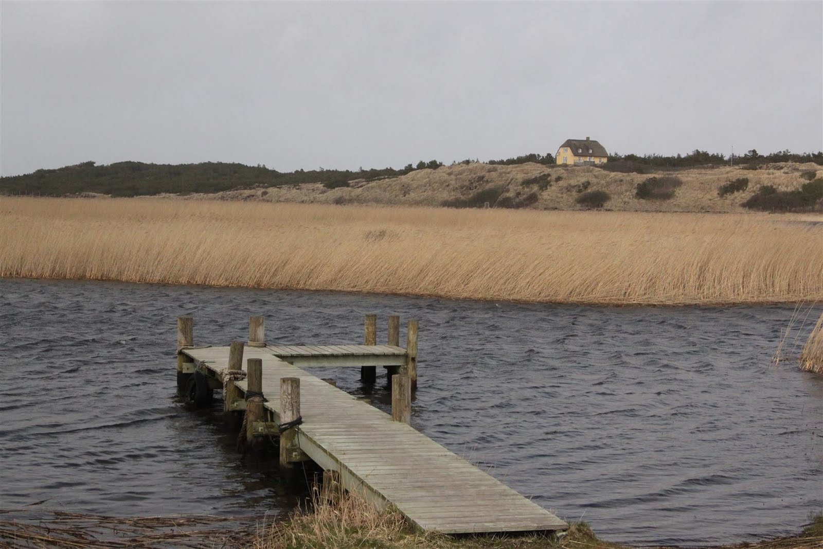 Windy Denmark Europe By Camper Travelling Europe By Motorhome