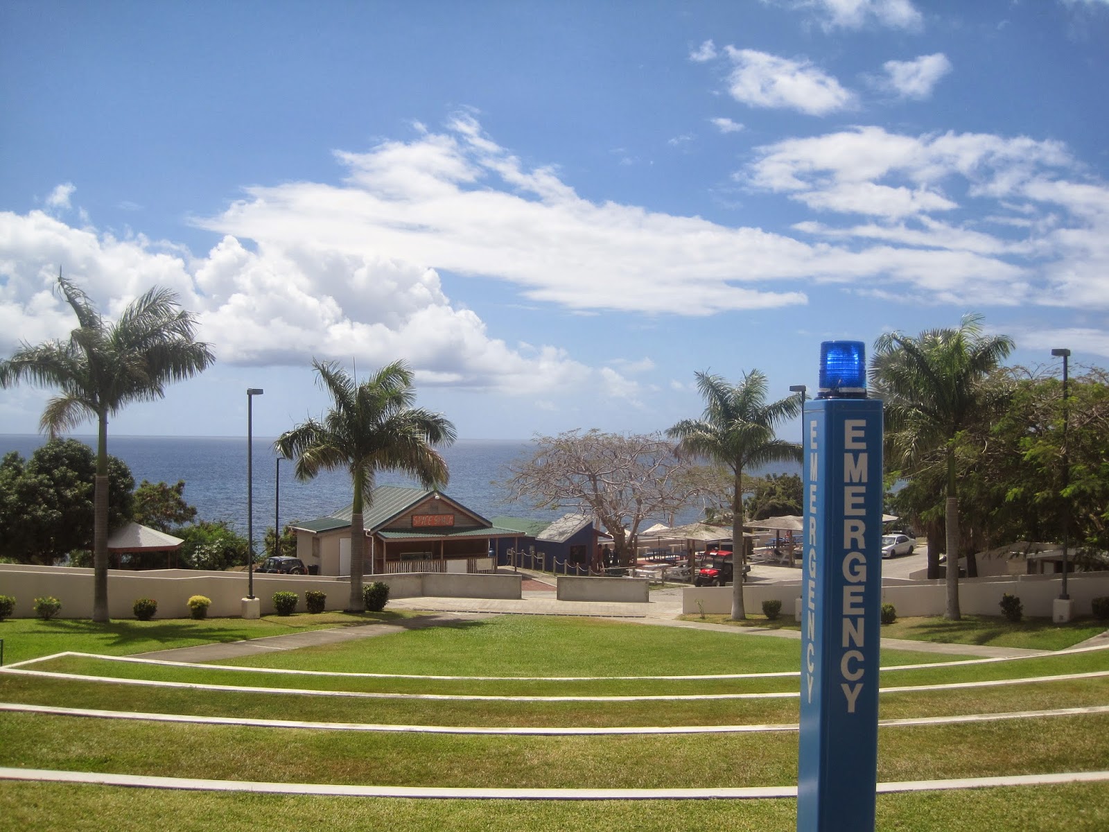 InVeST 2014 Ross University, St Kitts Veterinary Simulator Industries