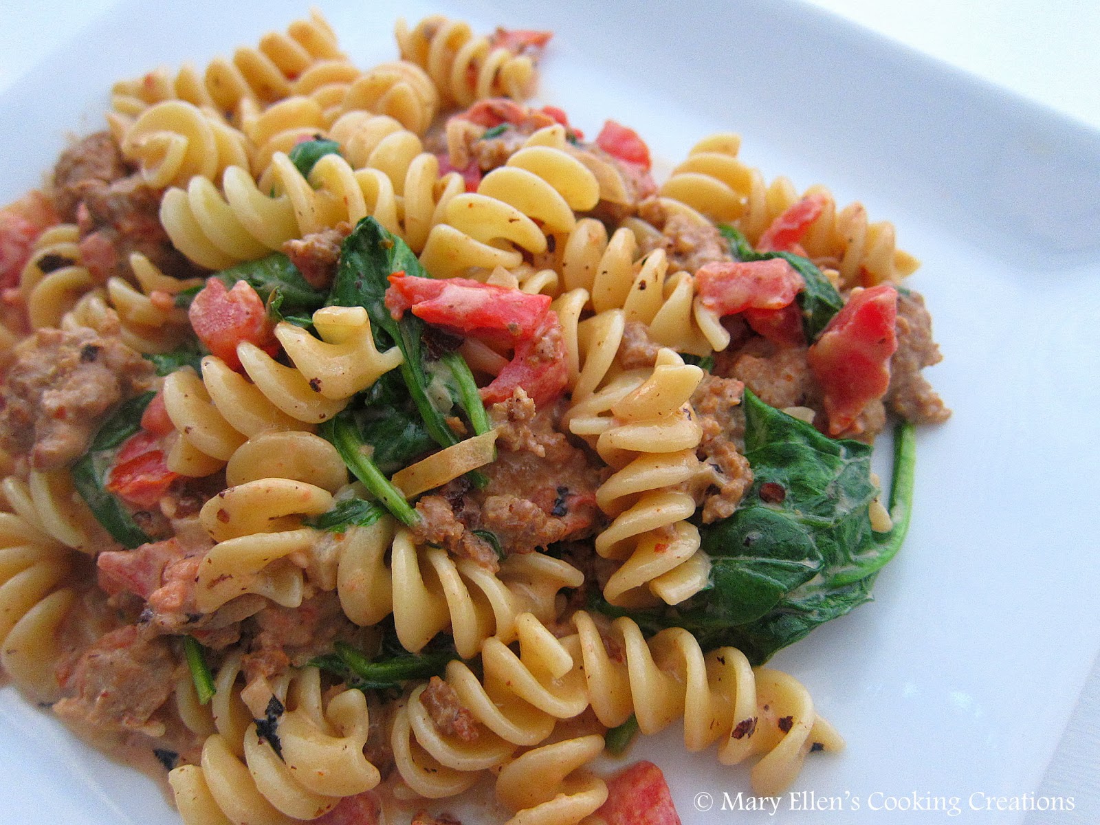 Mary Ellen's Cooking Creations Creamy Pasta with Turkey Sausage