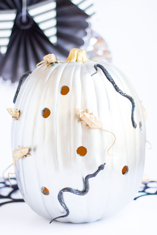 Spooky snake and mice pumpkin decorating idea! Spooky snake and mice pumpkin decorating idea!