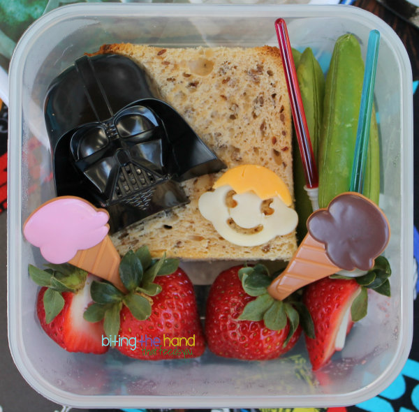 Darth Vader and Son book bento lunch