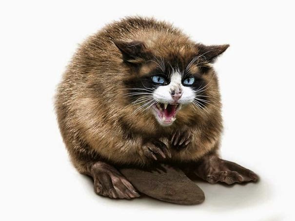 Photoshopでキメラを描くアーティスト