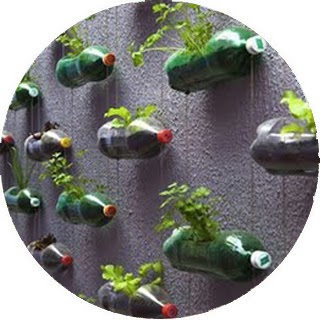 missjardin: Jardín vertical con botellas recicladas