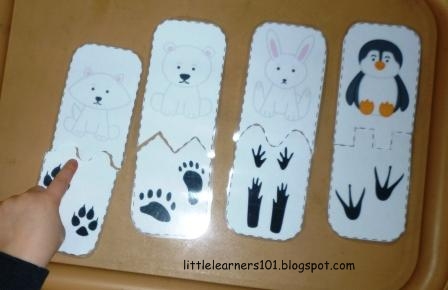 Little Learners: Polar Animals