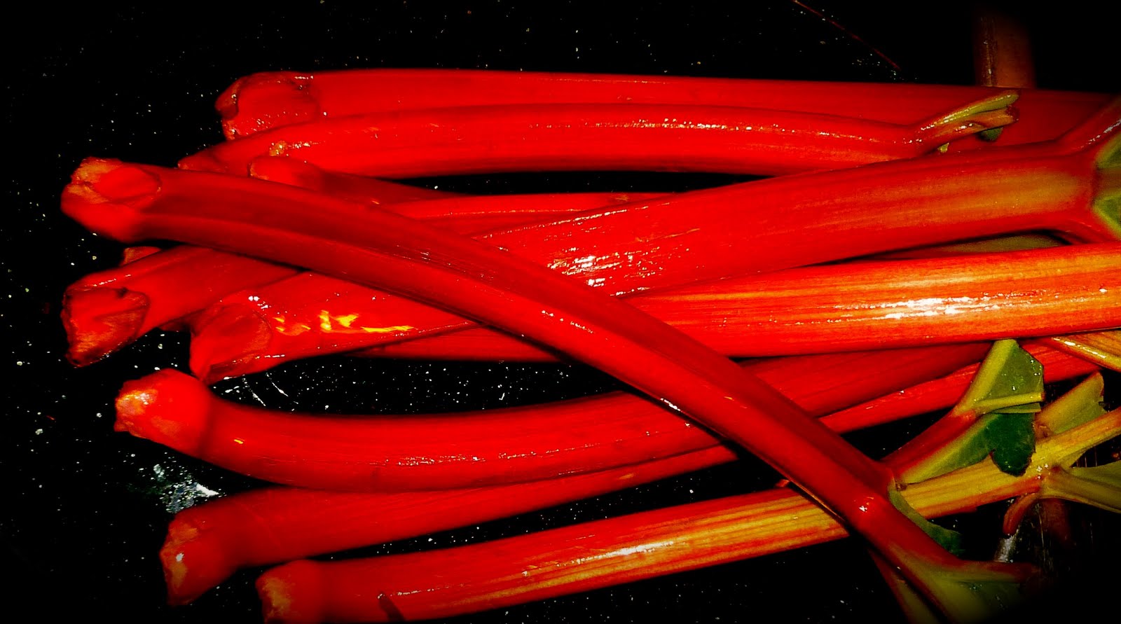 Red Rhubarb