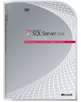 Microsoft SQL Server Standard R 2 2008