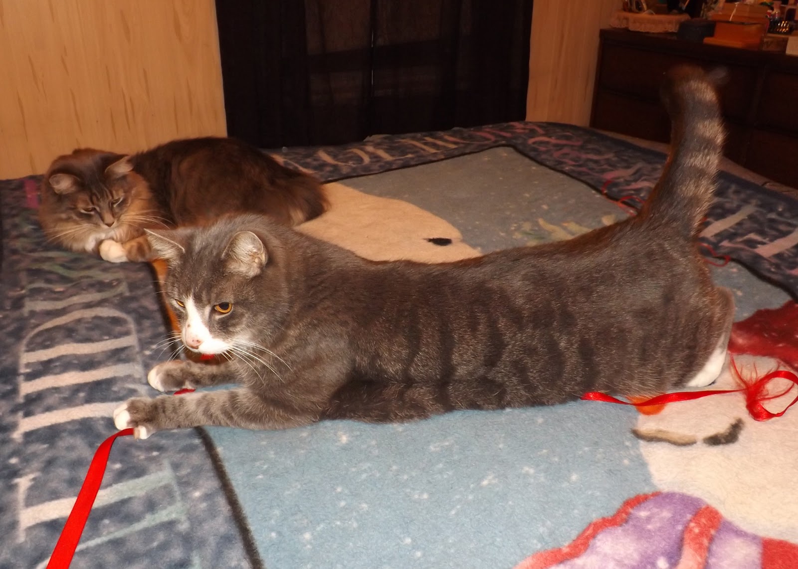 The Wiccan Life A Catnip Alternative