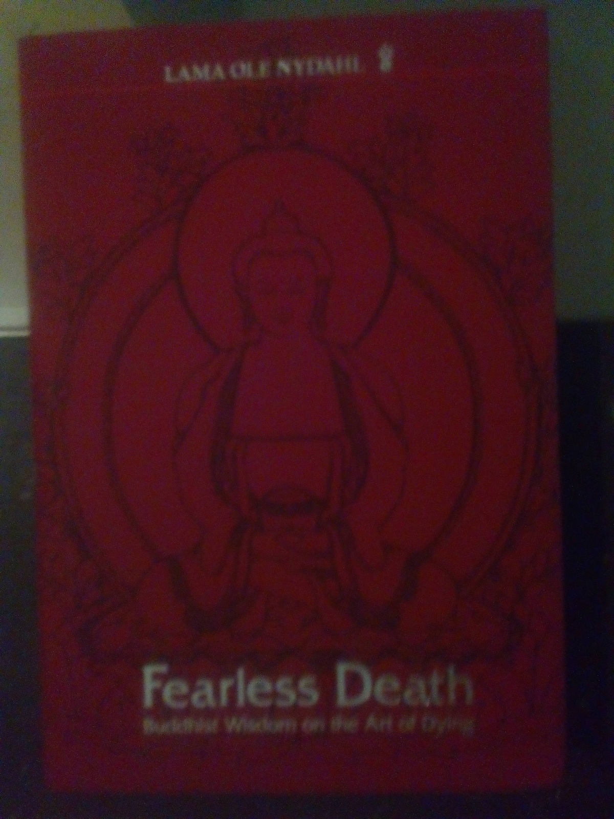 'Fearless Death': Buddhist Wisdom on the Art of Dying.