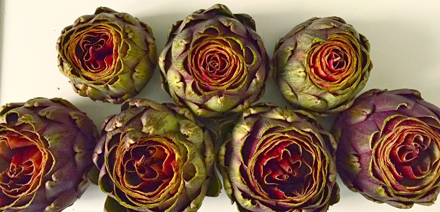 Through the French eye of design THE RED ARTICHOKES