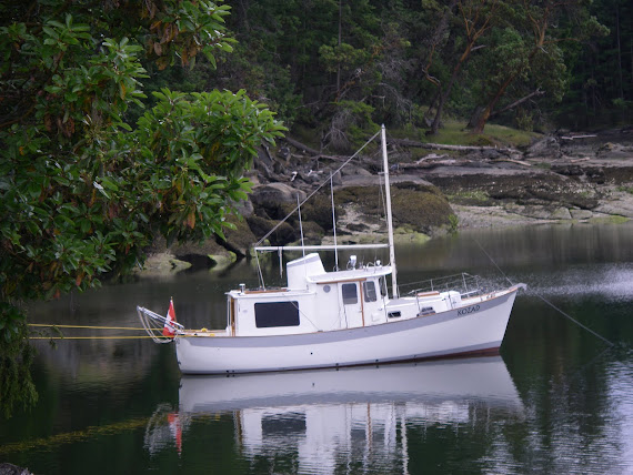 MV Kozad