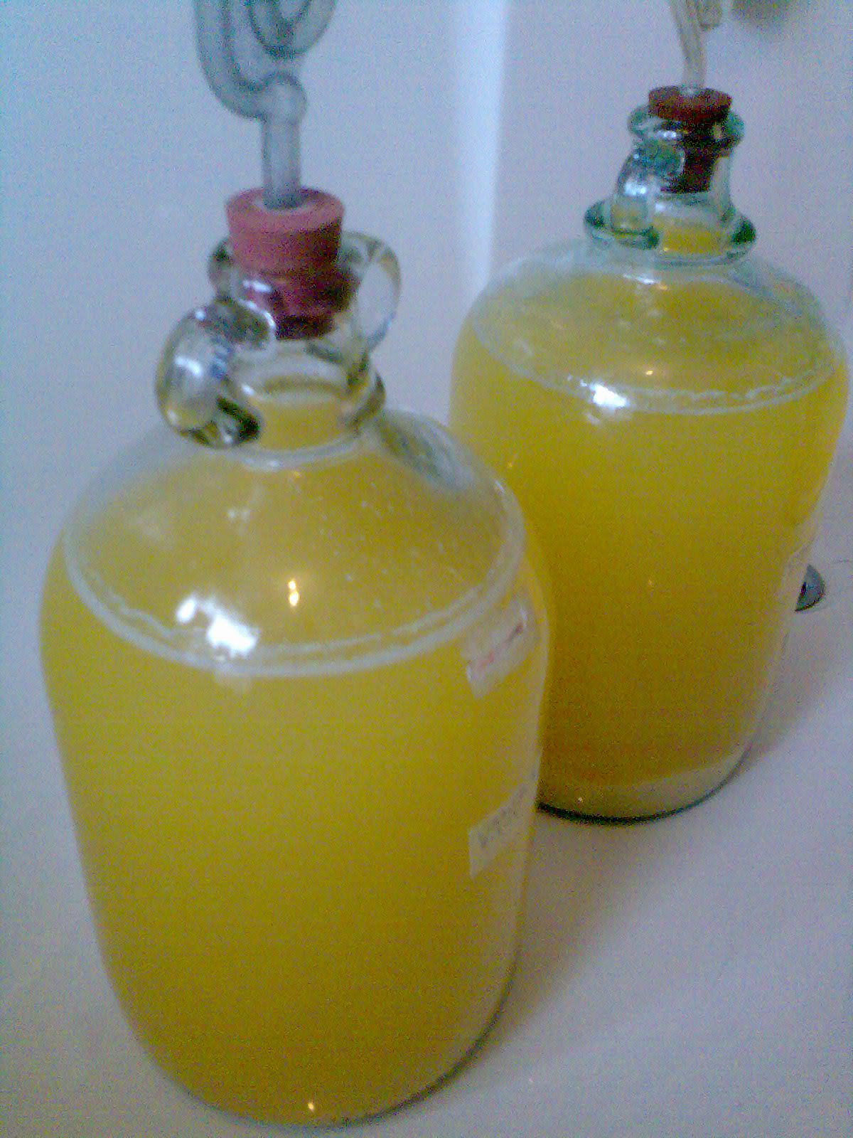 Ben's Adventures in Wine Making Orange Wine 2013 The Making Of