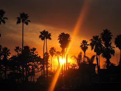 Sunset and Palms