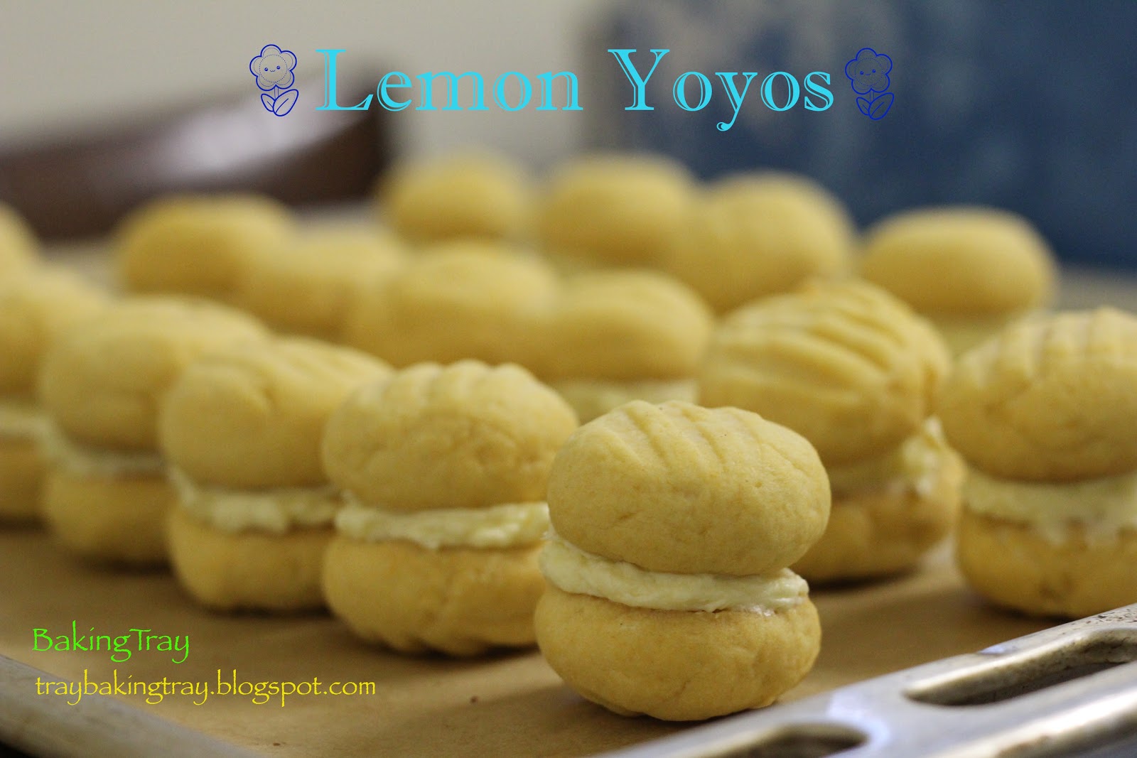 BAKING TRAY \________/ Work catering week 5 Yo! have a Yoyo!