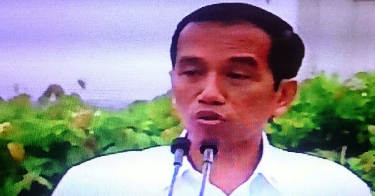 Image Result For Menteri Jokowi Image Result For Menteri Jokowi