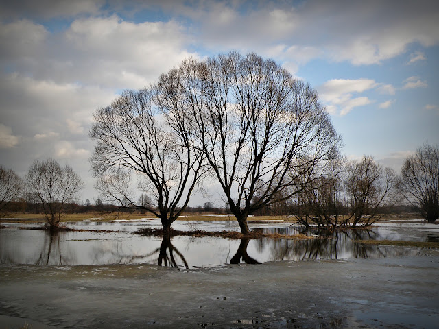 Dołhobrody