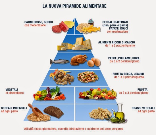 LA PIRAMIDE ALIMENTARE