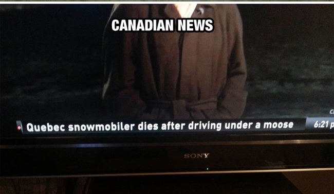 The most Canadian way to die. - Life In Canada Is So Much Different, And Colder, Than Life Anywhere Else. The most Canadian way to die. - Life In Canada Is So Much Different, And Colder, Than Life Anywhere Else.