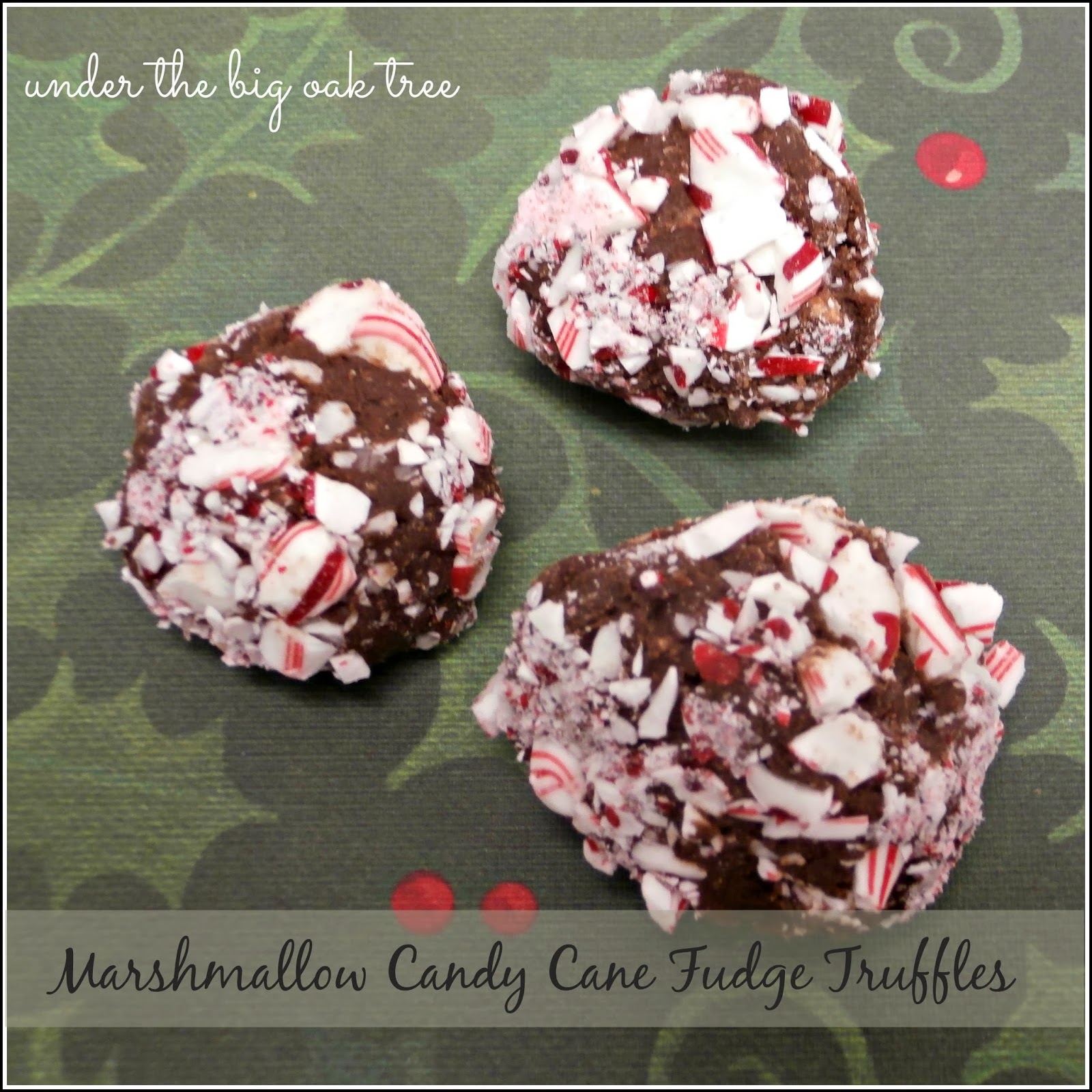 Under the Big Oak Tree Marshmallow Candy Cane Fudge Truffles