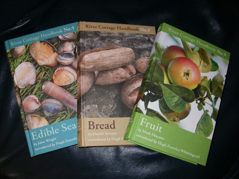 New Life In Ireland August 2011