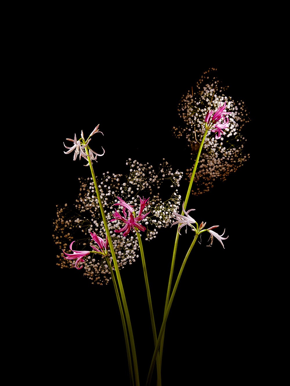 花火表現したフラワーアレンジメント