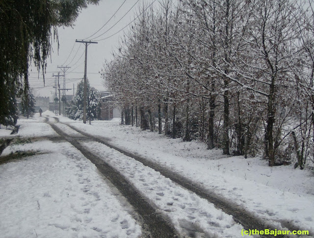 bajaur bajaur