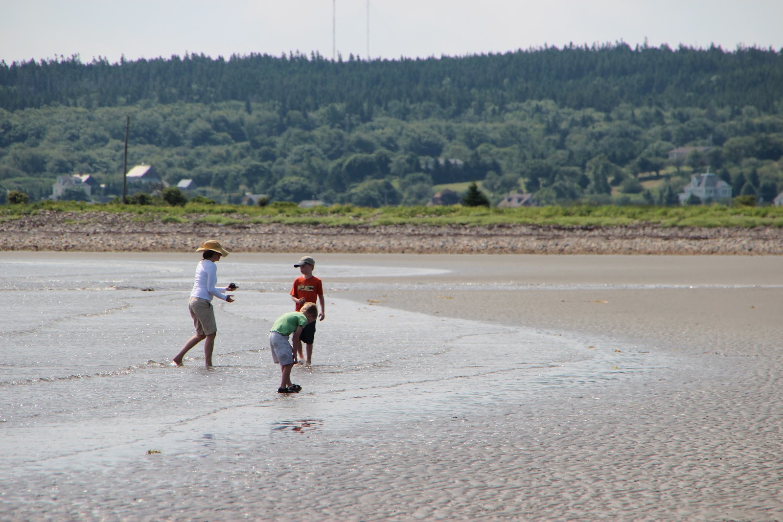 Rowe Tribe Sand Dollar Beach, Nova Scotia