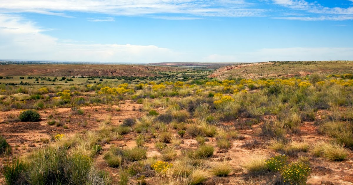 Megan O'Hare Photography New Mexico's High Plains