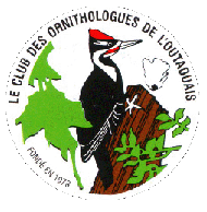 Le Club des Ornithologues de l'Outaouais