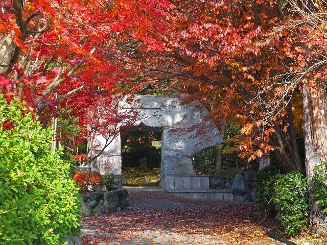 曹洞宗・苗秀寺は永平寺、総持寺を両大本山とする禅寺である。 曹洞宗・苗秀寺は永平寺、総持寺を両大本山とする禅寺である。