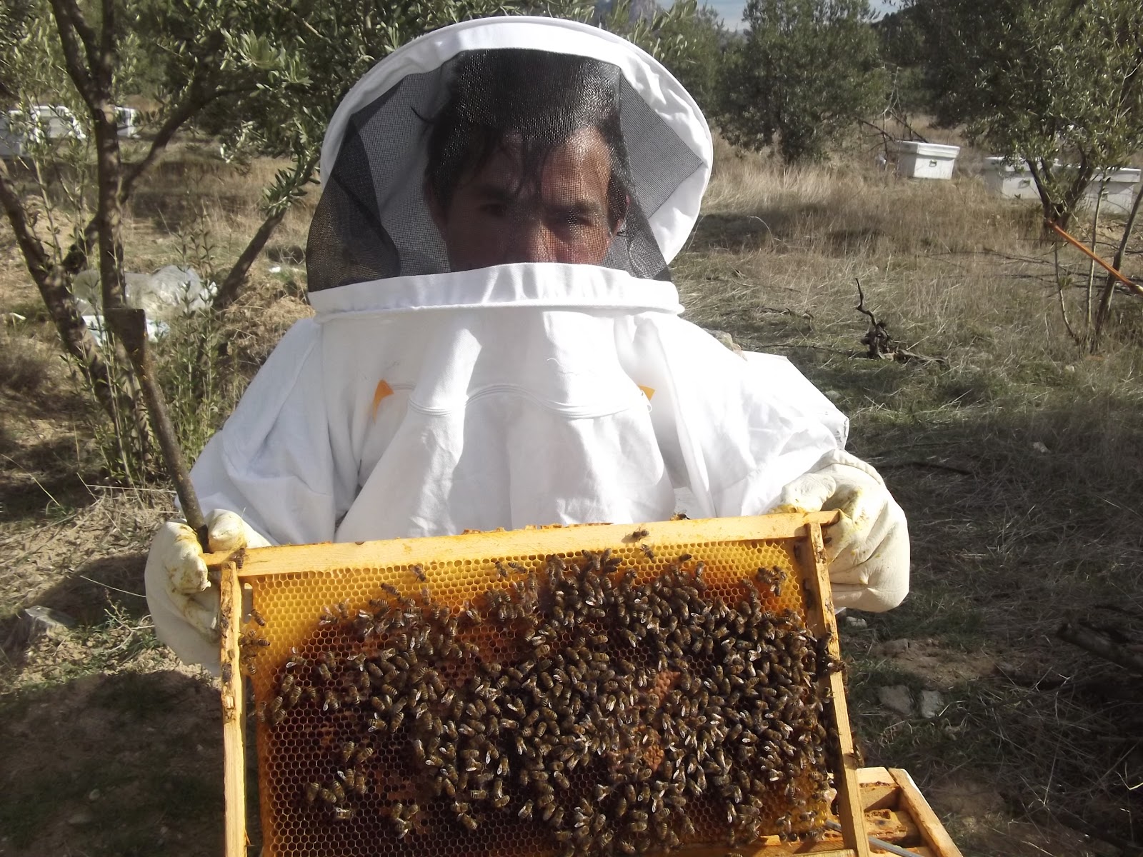 Eskisehir Sundiken Aricilik Istanbul Aricilik Fuari Ve Forum Arkadaslari