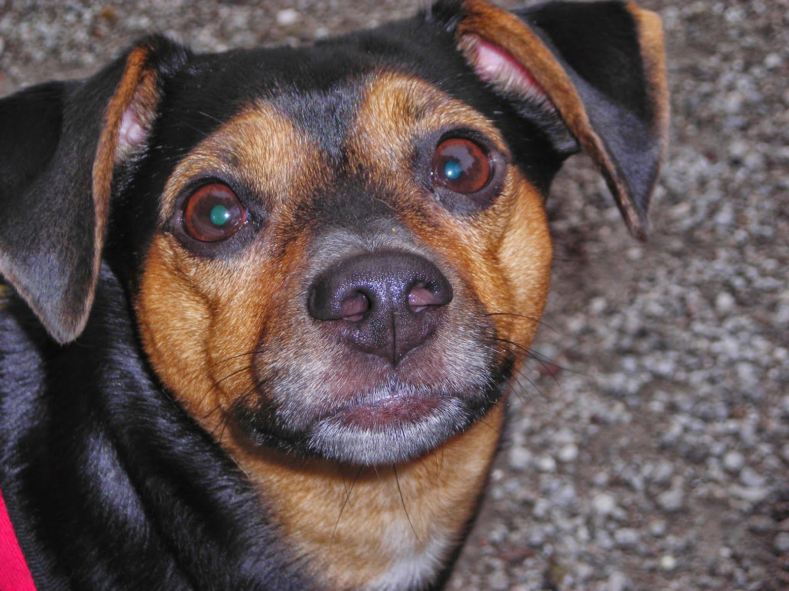 Alltagsheldennetz World Of Pd