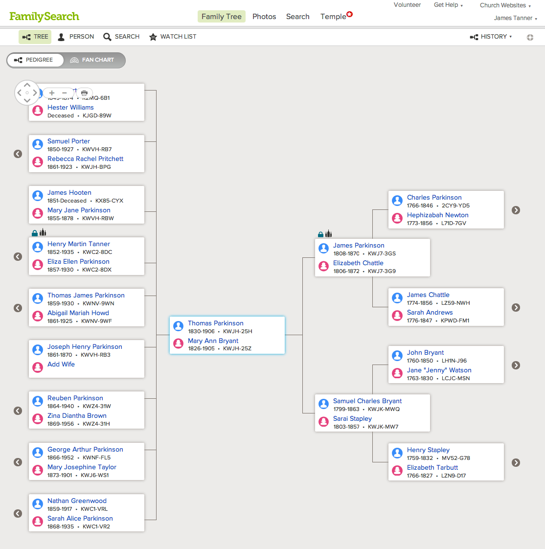 online family tree