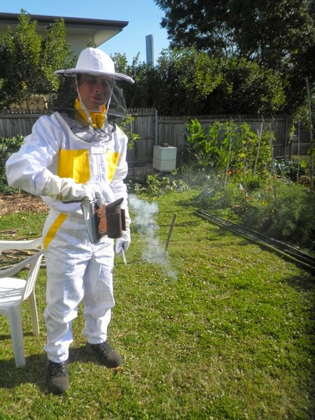 Beekeeping - How we started 19 Beekeeping - How we started