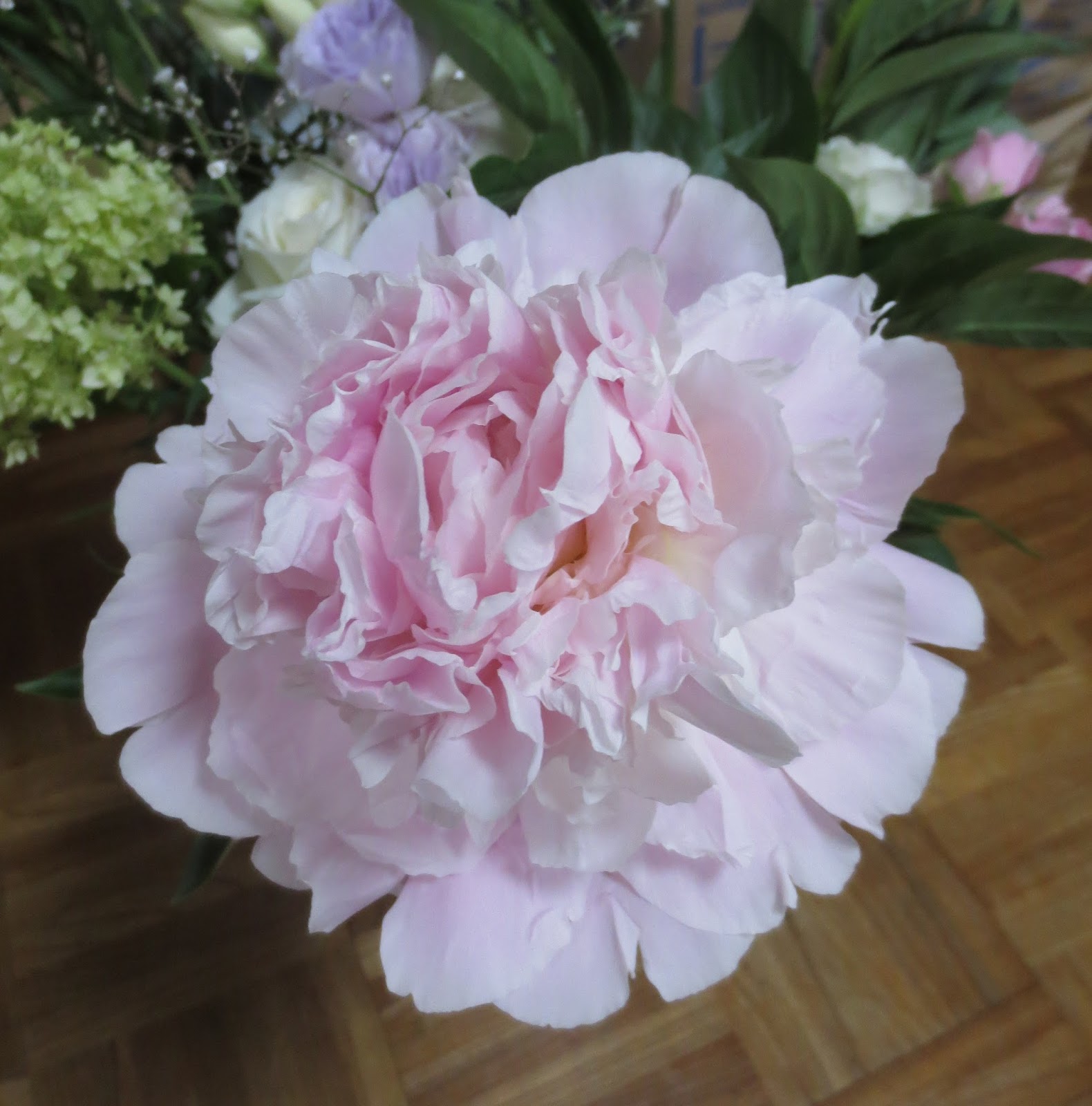 花曜日 大きく開いたピオニー 芍薬